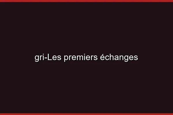 Les premiers échanges